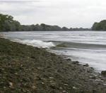 Photo de la Seine