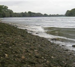 Photo de la Seine