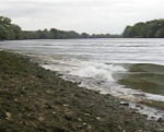 Photo de la Seine